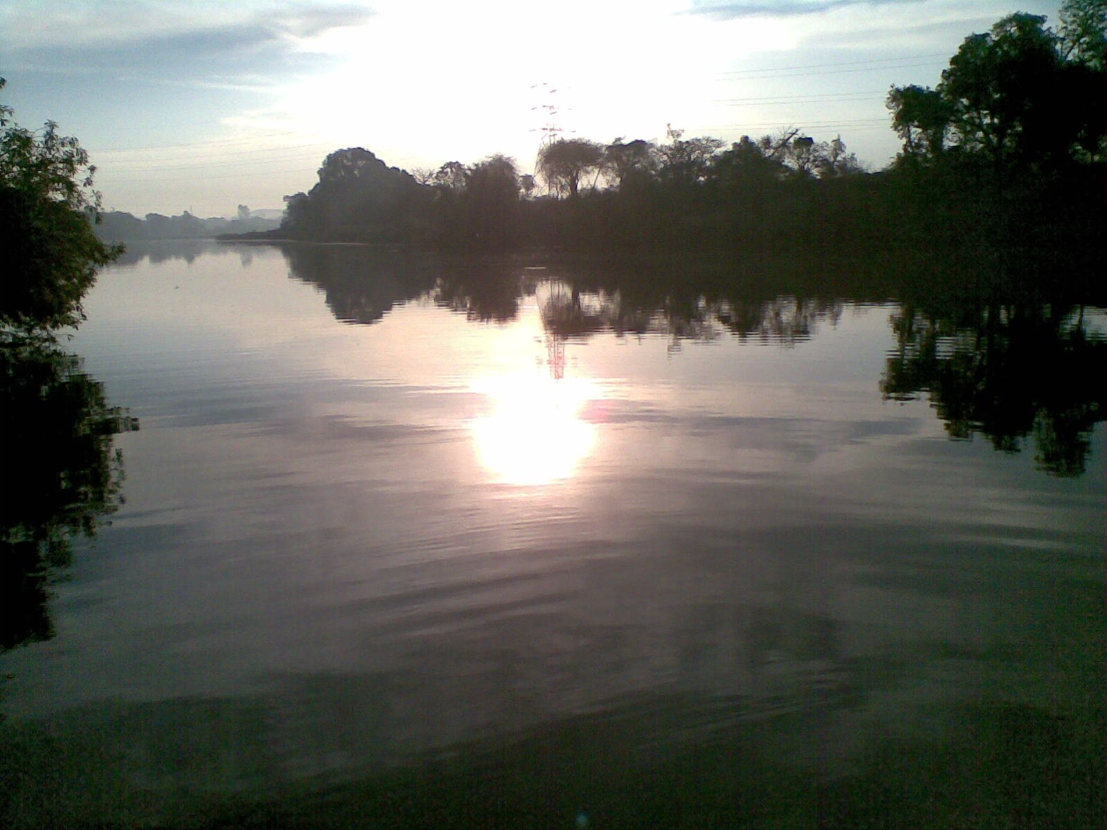 15032010(016) 15032010(016)