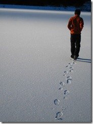 600fd200e03f523902e498c6ae2de530[1]